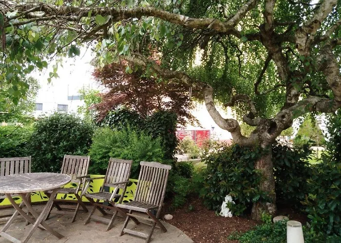 Rein Und Fein * 哈特贝格